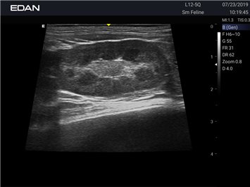 20191031103108_518812