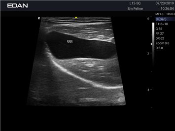 20191031103108_628183