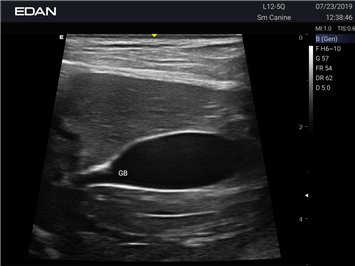 20191031103108_675073